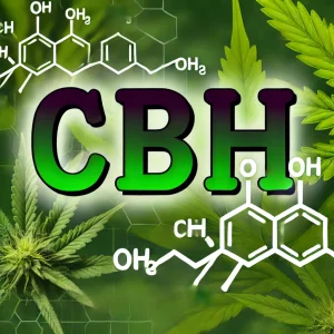CBH