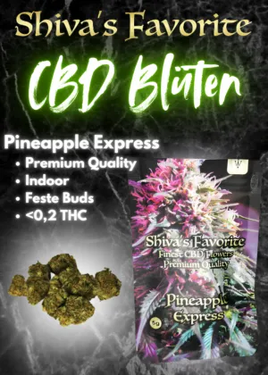 Shiva´s Favorite CBD Blüten Pineapple Express