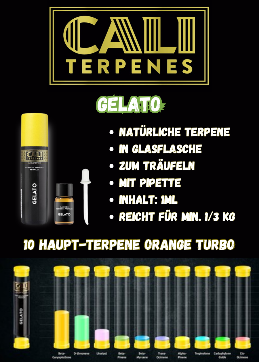 Cannabis Terpene von Cali Terpenes Gelato