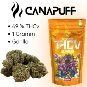 69 % THCv 1 Gramm Gorilla von Cannapuff