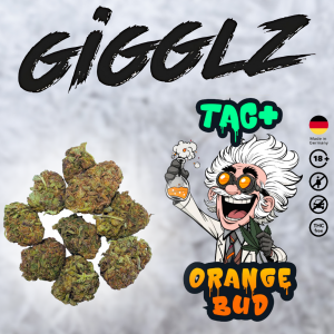 GIGGLZ TAC+ Orange Bud Blüten