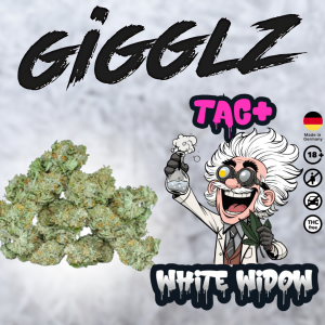 GIGGLZ TAC+ White Widow Blüten