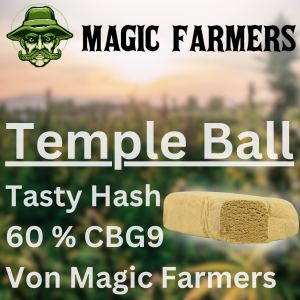 Temple Ball 60 % CBG9 Haschisch von Magic Farmers