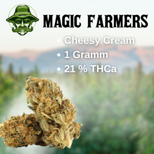 Cheesy Cream 21 % THCa Blüten