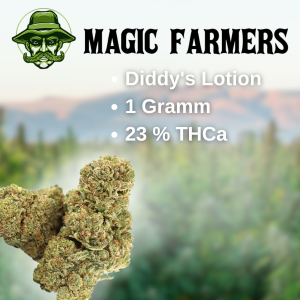 Diddy's Lotion 23 % THCa Blüten