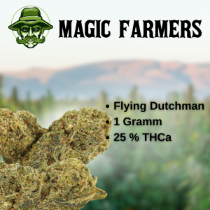 Flying Dutchman 25 % THCa Blüten