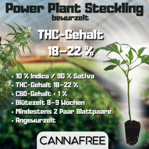 Power Plant Steckling