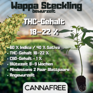 Wappa Steckling