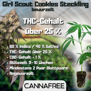 Girl Scout Cookies Steckling
