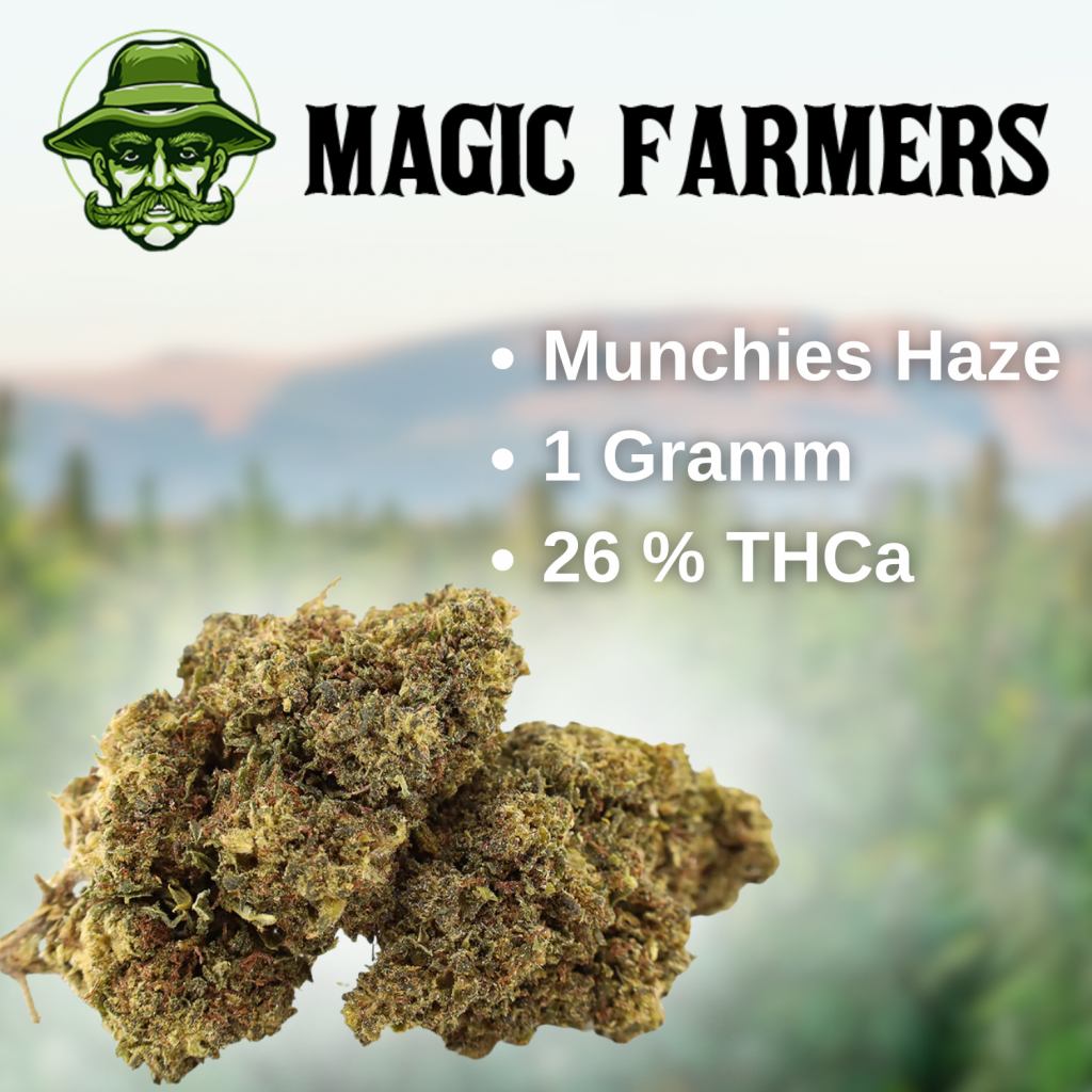 munchies-haze-26-thca-bl-ten-von-magic-farmers-kaufen-hhc-shop