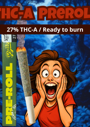 THCA Preroll mit 27% THCA