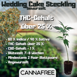 Wedding Cake Steckling