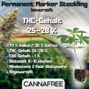 Permanent Marker Steckling