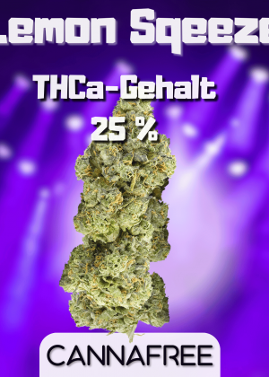Lemon Sqeeze mit 25 % THCa