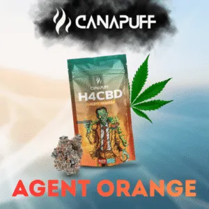 Agent Orange H4CBD Blüten