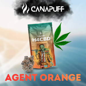 Agent Orange H4CBD Blüten