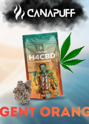 Agent Orange H4CBD Blüten