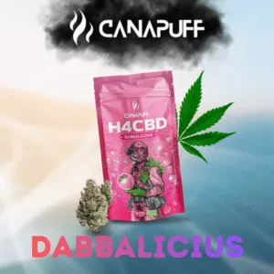Dabbalicius H4CBD Blüten