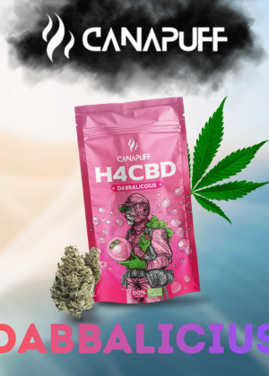 Dabbalicius H4CBD Blüten