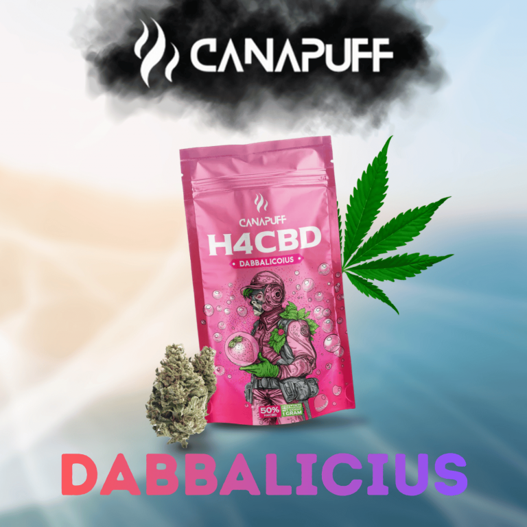 Dabbalicius H4CBD Blüten