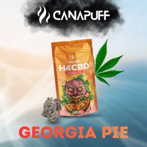 Georgia Pie H4CBD Blüten
