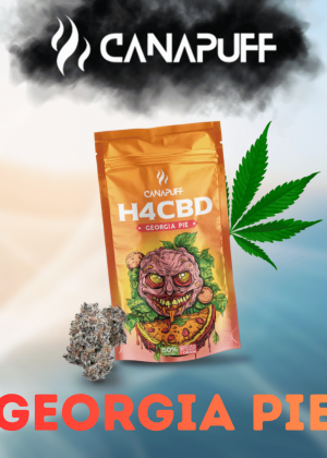 Georgia Pie H4CBD Blüten