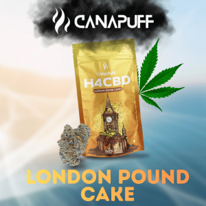 London Pound Cake H4CBD Blüten