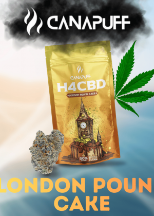 London Pound Cake H4CBD Blüten