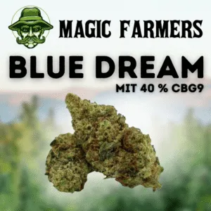 Magic Farmers Blue Dream mit 40 % CBG9