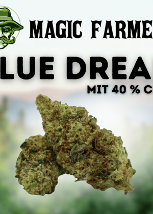 Magic Farmers Blue Dream mit 40 % CBG9
