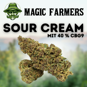 Magic Farmers Sour Cream mit 40 % CBG9