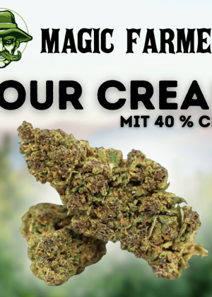 Magic Farmers Sour Cream mit 40 % CBG9