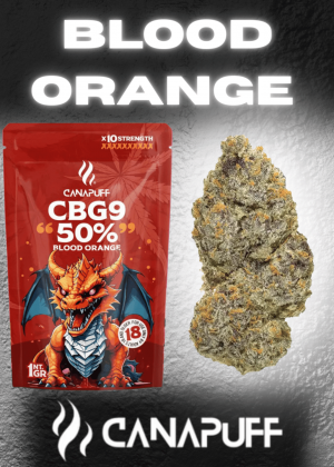 Blood Orange Blüten mit 50 % CBG9
