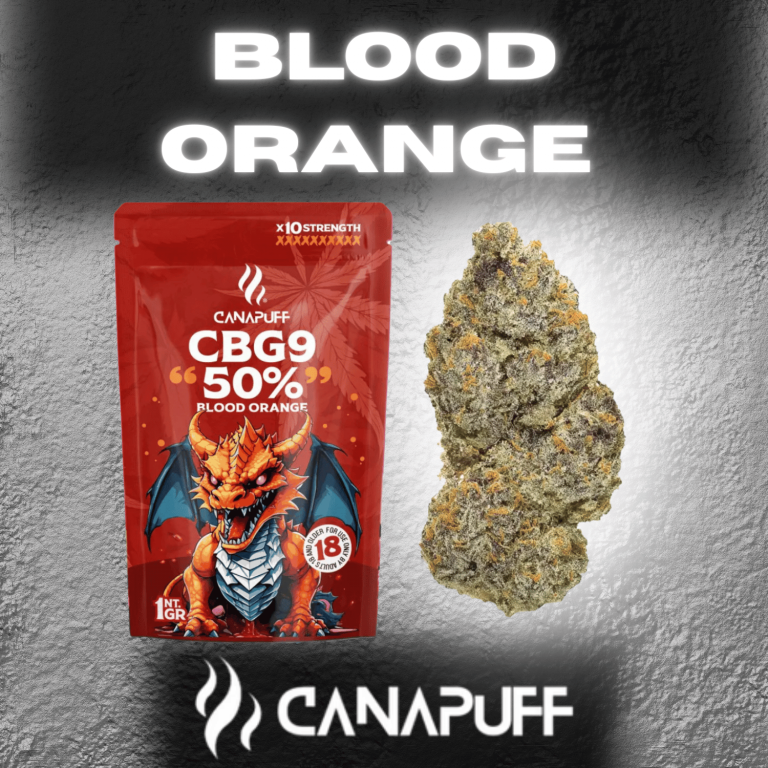Blood Orange Blüten mit 50 % CBG9