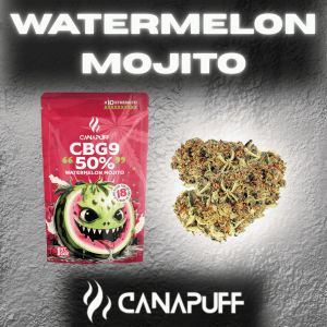 Watermelon Mojito Blüten mit 50 % CBG9