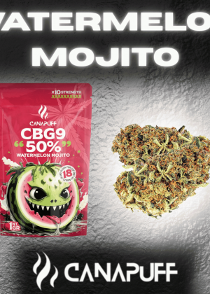 Watermelon Mojito Blüten mit 50 % CBG9