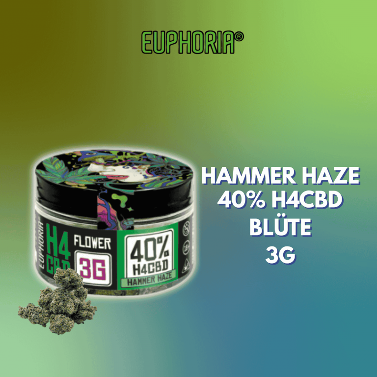 euphoria h4cbd bluete hammer haze 40h4cbd 3g