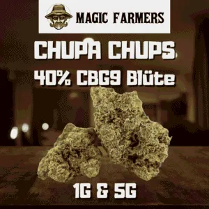 magicfarmers cbg9 bluete chupa chups 40cbg9