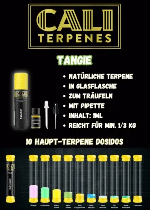 cali terpenes terpene aroma tangie 1ml