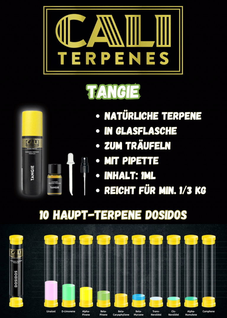cali terpenes terpene aroma tangie 1ml