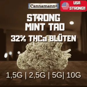 cannamann thca32 blueten strong mint tao 32thca 1