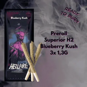 loom h2 preroll blueberry kush h2 1,3g