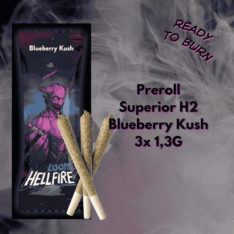 loom h2 preroll blueberry kush h2 1,3g