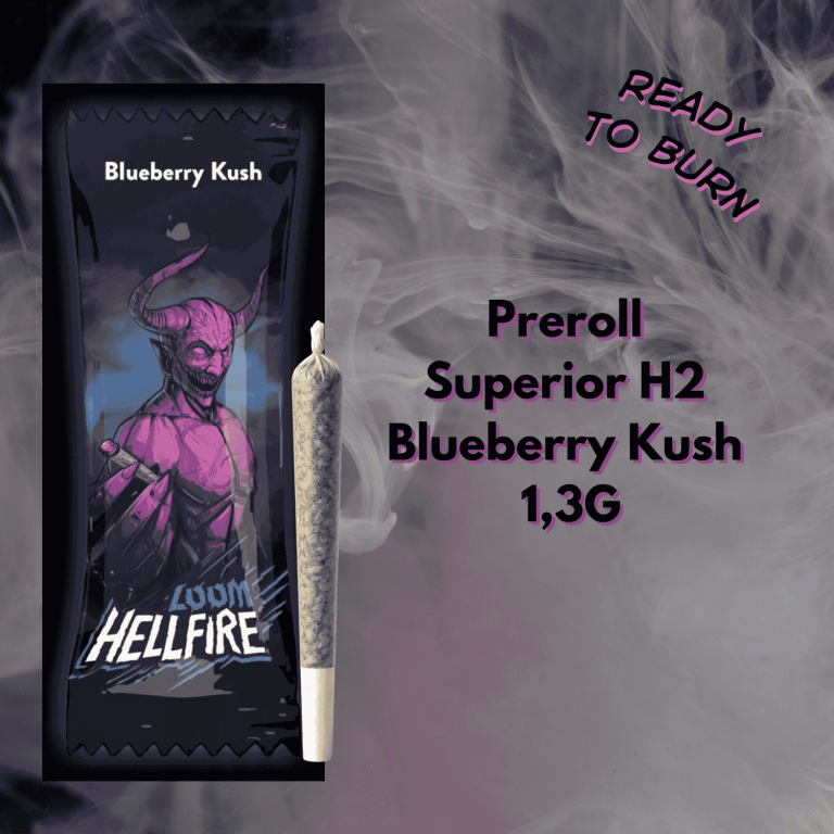 loom h2 preroll blueberry kush h2 1x 1,3g