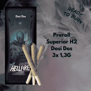 loom h2 preroll dosi dos h2 13g