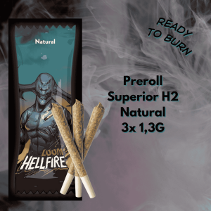 loom h2 preroll natural h2 1,3g