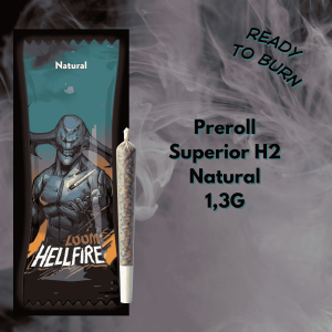 loom h2 preroll natural h2 1x 13g