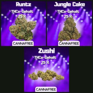 Runz THCa-Paket · 3 Sorten